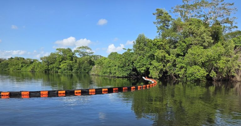 ac1c78bf025a4b19832ffb8a1e16b38b