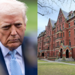 bc69ecc6505f4480bc603746d3a12b37