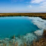 c3f3b98226354db0a0ecbbd457321145