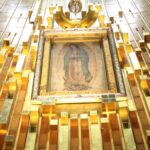 c4e7c6dcbd3a44fab96d4c6734f49b8e