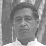 e2c9530d59524be5b49e854c22e92c11