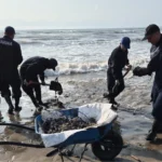 eb269f6d8eb5457fa10a9981b831b8fc