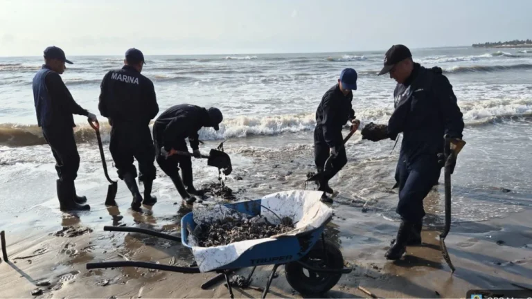 eb269f6d8eb5457fa10a9981b831b8fc