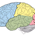 elcere_8f447b48e9d4_0