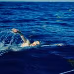 00ce76de33614a83952ba6e5ee7ff747