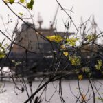 07e6eca78e634b3991de8adffcc6252f