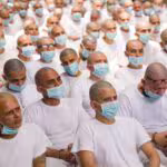 1c095680cfe84b23980dcc390e46f989