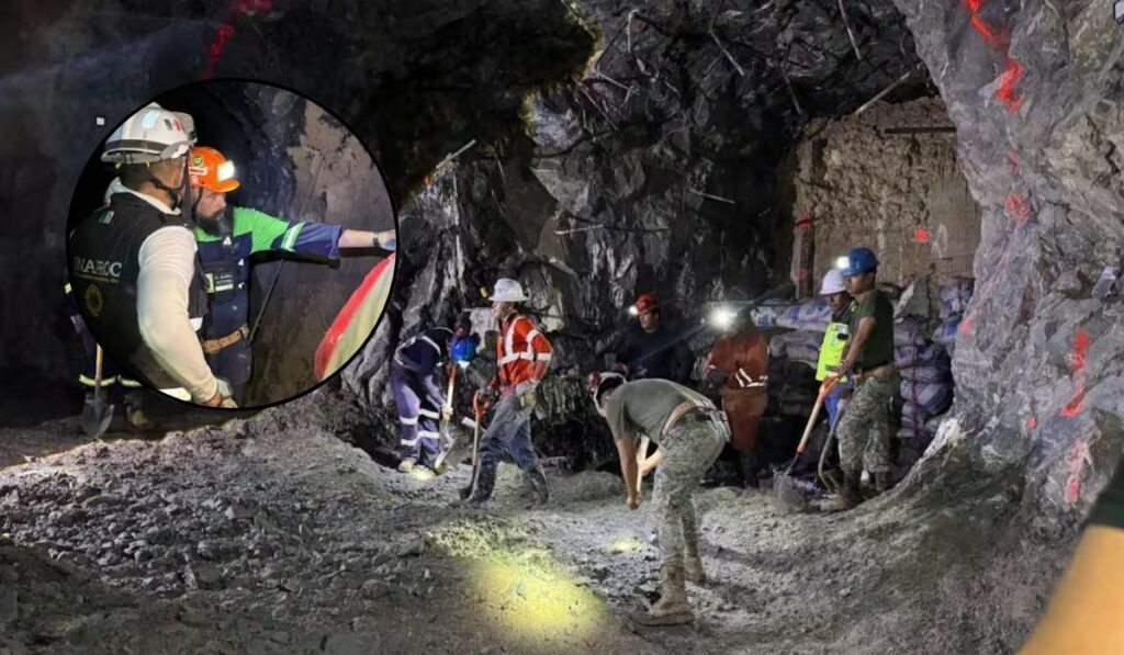 24e88a294e7f4f5099456a90d7599425