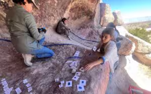 2fe7bac805fe405286568800f914e39c