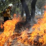 4a32864637ad46f5989f1a40062e43c0