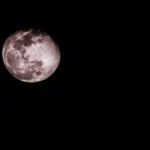 6347fbf203db49b5b78b64447fe5f282