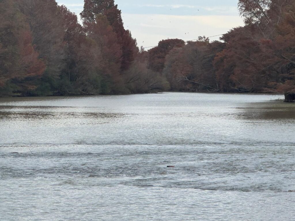 6368fa5c5bef495daf922e32db8cb12e