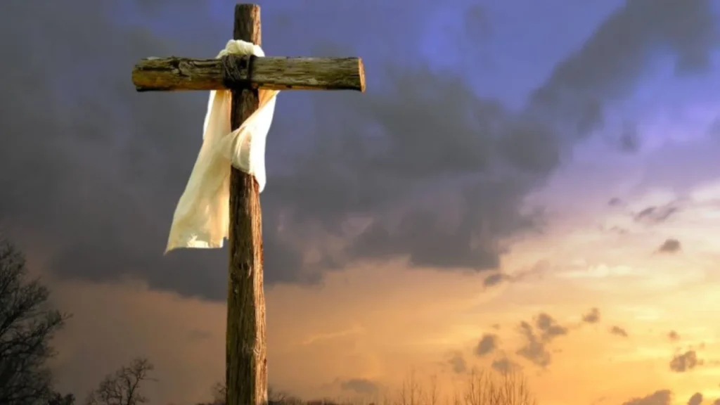 6e8b19125fc542f7a6a0d9f2adf52493