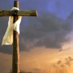 6e8b19125fc542f7a6a0d9f2adf52493