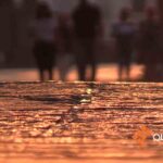 879d66e9356a4a8f902f1b79a00cf8e0