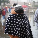 95df9faaec284fcbb665c1f87637e091