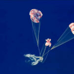 Ameriza en el Pacífico la cápsula tripulada de Artemis II con ayuda de paracaídas