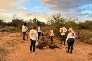 ac4ccd48fe1640e08909abe3e02ebe32