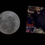 ca321a105ad8423e8b897c80929cd632