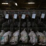 de111def084d4fb79a84ba391583441f