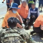 ef54fbfe964644f68404284656f4c6e9